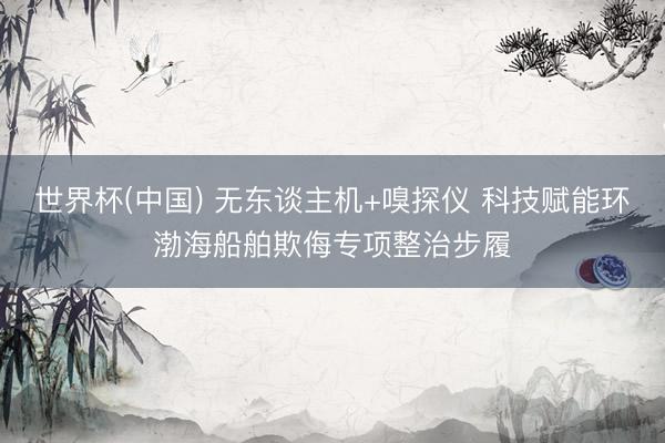 世界杯(中国) 无东谈主机+嗅探仪 科技赋能环渤海船舶欺侮专项整治步履