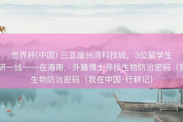 世界杯(中国) 三亚崖州湾科技城,3位留学生扎根热带农业科研一线——在海南,外籍博士寻找生物防治密码(我在中国·行耕记)
