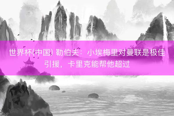 世界杯(中国) 勒伯夫：小埃梅里对曼联是极佳引援，卡里克能帮他超过