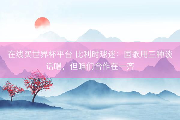 在线买世界杯平台 比利时球迷:国歌用三种谈话唱,但咱们合作在一齐