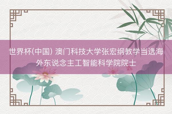 世界杯(中国) 澳门科技大学张宏纲教学当选海外东说念主工智能科学院院士