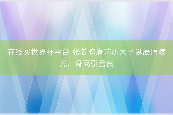在线买世界杯平台 张若昀唐艺昕犬子诞辰照曝光，身高引善良