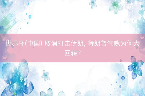 世界杯(中国) 取消打击伊朗， 特朗普气魄为何大回转?