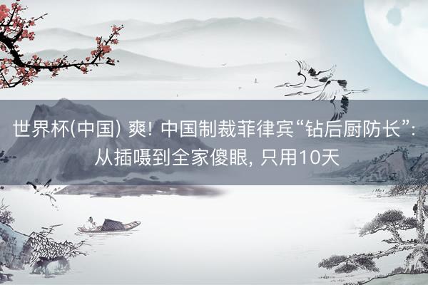 世界杯(中国) 爽! 中国制裁菲律宾“钻后厨防长”: 从插嗫到全家傻眼， 只用10天