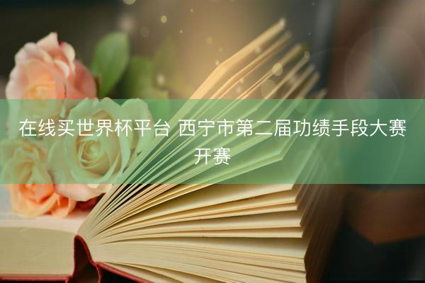 在线买世界杯平台 西宁市第二届功绩手段大赛开赛