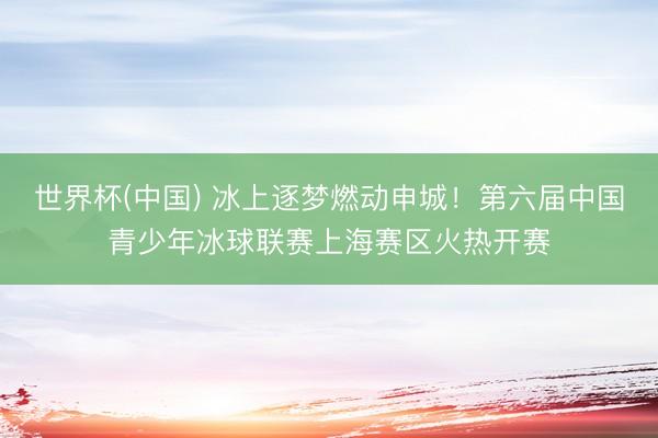 世界杯(中国) 冰上逐梦燃动申城!第六届中国青少年冰球联赛上海赛区火热开赛