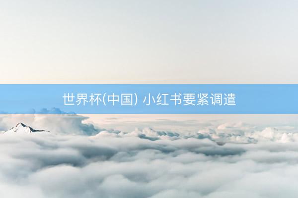 世界杯(中国) 小红书要紧调遣