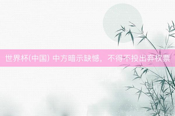 世界杯(中国) 中方暗示缺憾，不得不投出弃权票